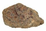 Agoudal Iron Meteorites (2-4 grams) - Morocco - Photo 4